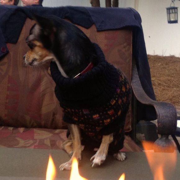 🐾WARM DOG TURTLENECK SWEATER🐾 - Picture 9 of 10